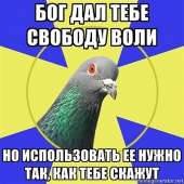 400x400