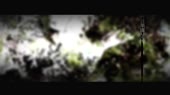1280x720