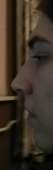 498x1583