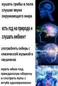 598x890
