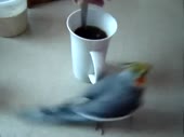 480x360
