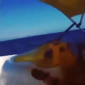 360x360
