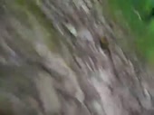 480x360