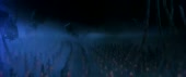 540x228
