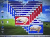 480x360