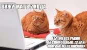 790x463
