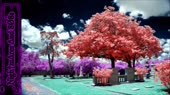 640x360