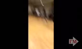 400x240