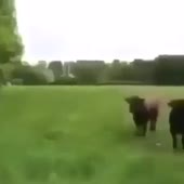 360x360