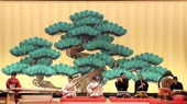 854x480