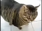 320x240
