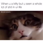 360x360