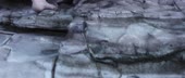 1920x816