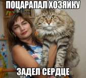 520x480