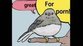 460x258