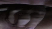 640x360