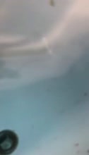 720x1252
