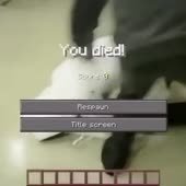 460x460
