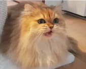 360x292