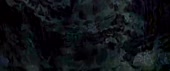 540x228