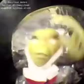 360x360