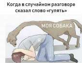 640x493