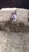 360x634