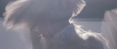 1280x544