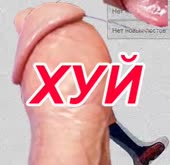 320x312