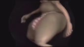 640x360