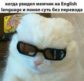 500x483
