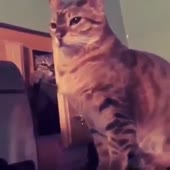 360x360