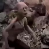 360x360