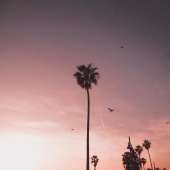 1080x1080