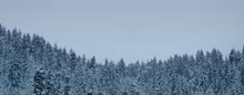 946x372