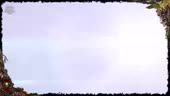 850x480