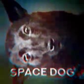 320x320