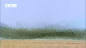 1280x720