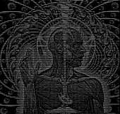 1407x1344
