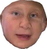 220x229