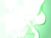 480x360