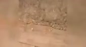 400x220