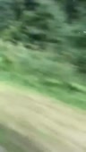 720x1274