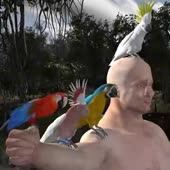 360x360