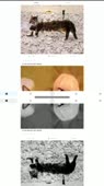 404x720