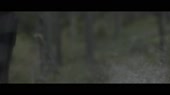1280x720