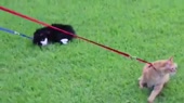 400x224