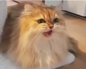360x292