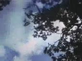 320x240