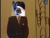 480x360